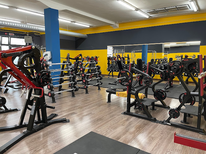 Il Fitness Show di Carpi: Tra Luci e Ombre