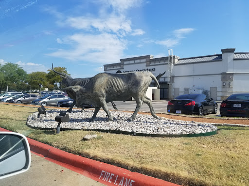 Book Store «Half Price Books», reviews and photos, 3221 Preston Rd, Frisco, TX 75034, USA