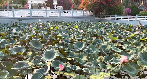 Top 20 mẫu cửa hàng đẹp Huyện Tịnh Biên An Giang 2022