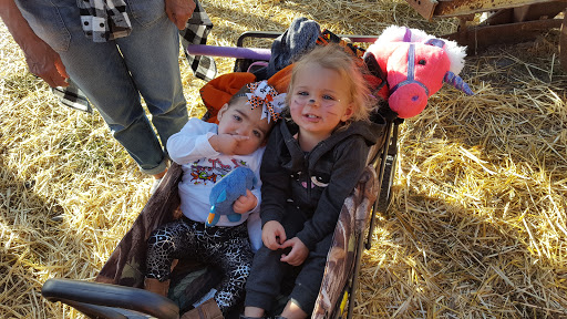 Haunted House «Hee Haw Farms & Corn Maze», reviews and photos, 150 S 2000 W, Lindon, UT 84042, USA