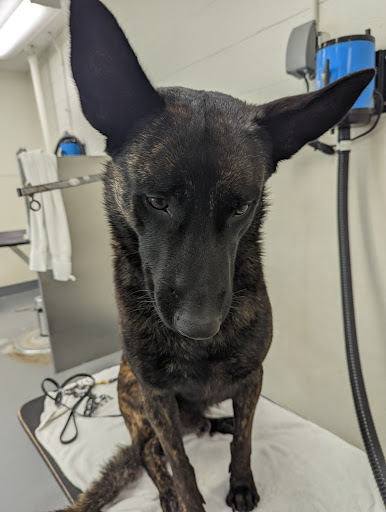 Pet Supply Store «Centinela Feed & Pet Supplies», reviews and photos, 11055 W Pico Blvd, Los Angeles, CA 90064, USA