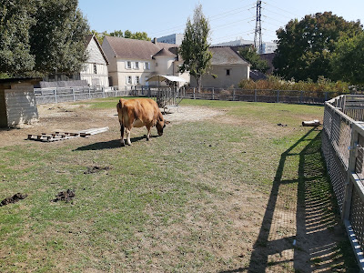 Ferme Départementale des Chanteraines à Villeneuve-la-Garenne