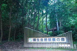 桐生自然観察の森 image