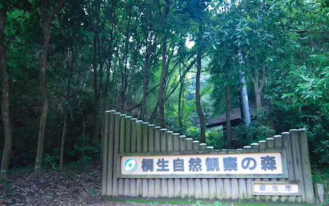 桐生自然観察の森 image