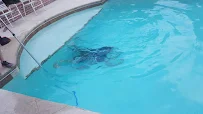 Water Wizards Pool Care - Car repair in , Spring Hill - Rated 5.0/5