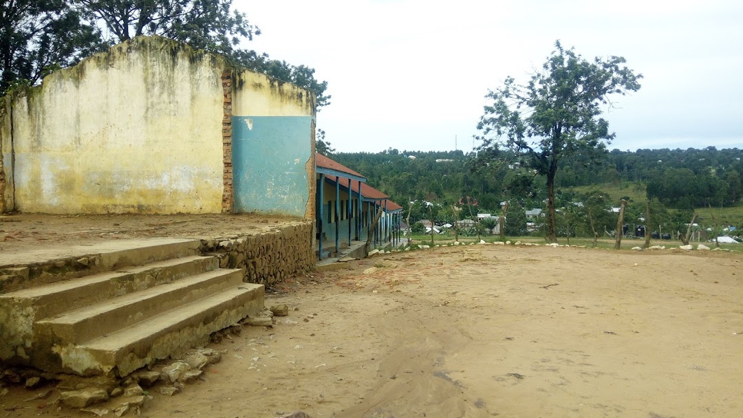 Rwemishasha primary school