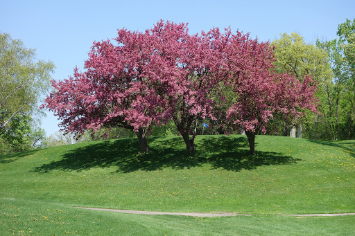 Golf Club «Columbia Golf Club», reviews and photos, 3300 Central Ave NE, Minneapolis, MN 55418, USA