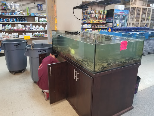 Aquarium Shop «Aquarium Arts», reviews and photos, 1810 W Baseline Rd #1, Mesa, AZ 85202, USA