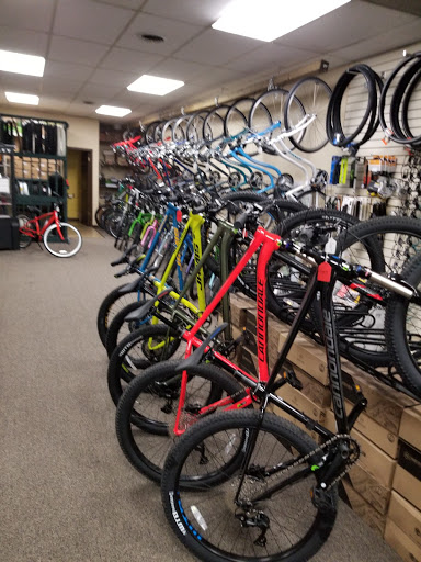 Bicycle Repair Shop «Gemini Ski & Board Center», reviews and photos, 4936 Everhard Rd NW, Canton, OH 44718, USA