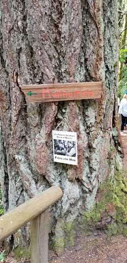 Performing Arts Theater «Kitsap Forest Theater», reviews and photos, 3000 Seabeck Hwy NW, Bremerton, WA 98312, USA