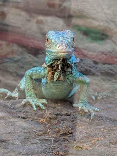 Pet Supply Store «Petco Animal Supplies», reviews and photos, 10 Sylvan St, Peabody, MA 01960, USA