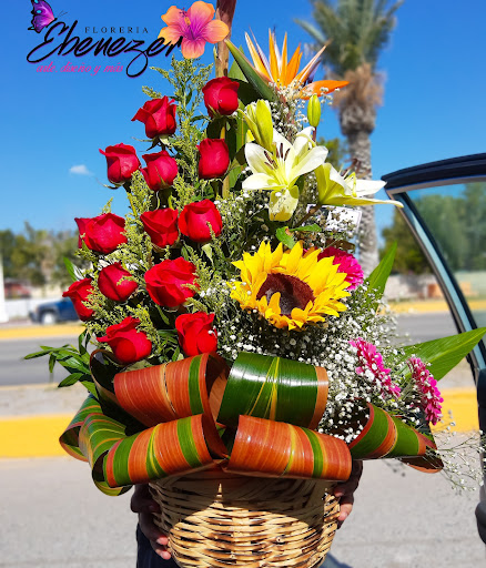 Floreria Mi Esencia Nava Coahuila – Nava Municipality