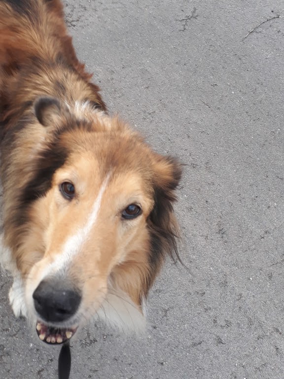 Tierarztpraxis Auferkamp