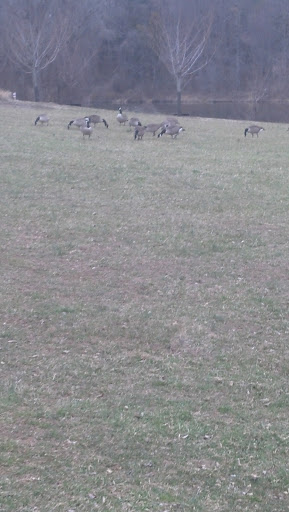 Golf Course «Fairway Hills Golf Course», reviews and photos, 5100 Columbia Rd, Columbia, MD 21044, USA