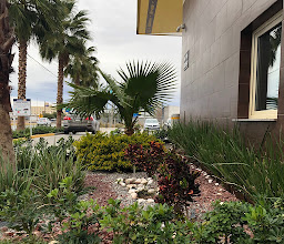 Hotel Hi! Torreón photo