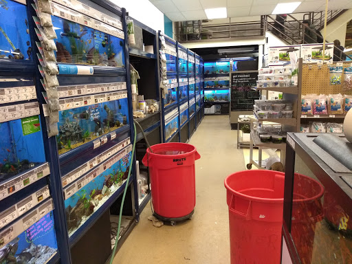 Pet Supply Store «Petco Animal Supplies», reviews and photos, 860 Broadway, New York, NY 10003, USA