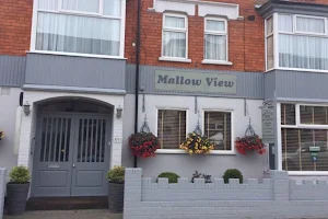 Mallow View Hotel image