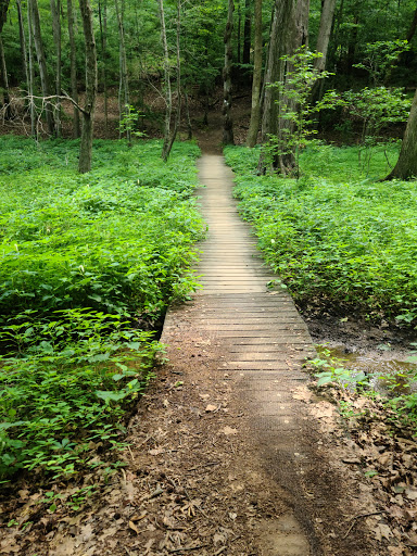 Owl's Roost Trail, Atlantic & Yadkin Greenway