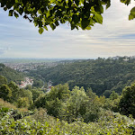 Photo n°4 de l'avis de Lukas.c fait le 09/02/2024 à 08:40 sur le  abbaye de Limburg à Bad Dürkheim