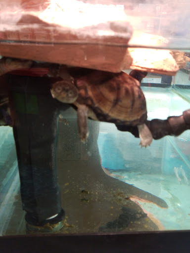 Pet Supply Store «Petco Animal Supplies», reviews and photos, 12551 Jefferson Ave #119, Newport News, VA 23602, USA