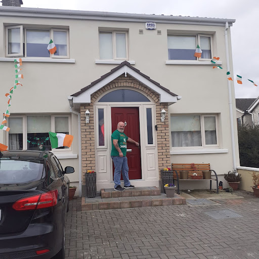 host family dublin ireland