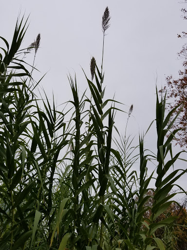 Zoo «Mesker Park Zoo», reviews and photos, 1545 Mesker Park Dr, Evansville, IN 47720, USA