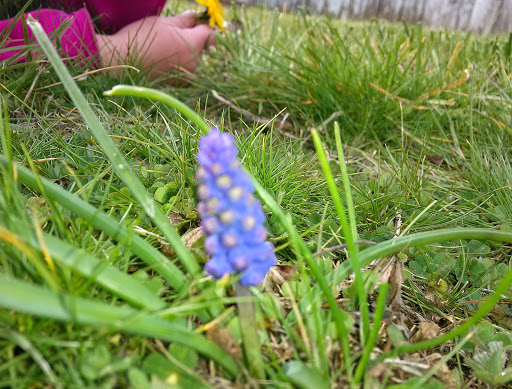 Park «Mt. Scott Park», reviews and photos, SE 72nd Ave & Southeast Harold Street, Portland, OR 97206, USA