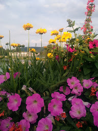 Photo n°11 de Capados à Vireux-Molhain ()