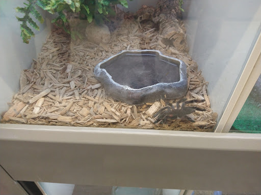 Pet Supply Store «Pet Supplies Plus», reviews and photos, 211 Golden Isles Plaza, Brunswick, GA 31520, USA