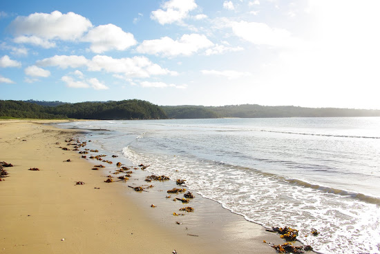 Boydtown Beach