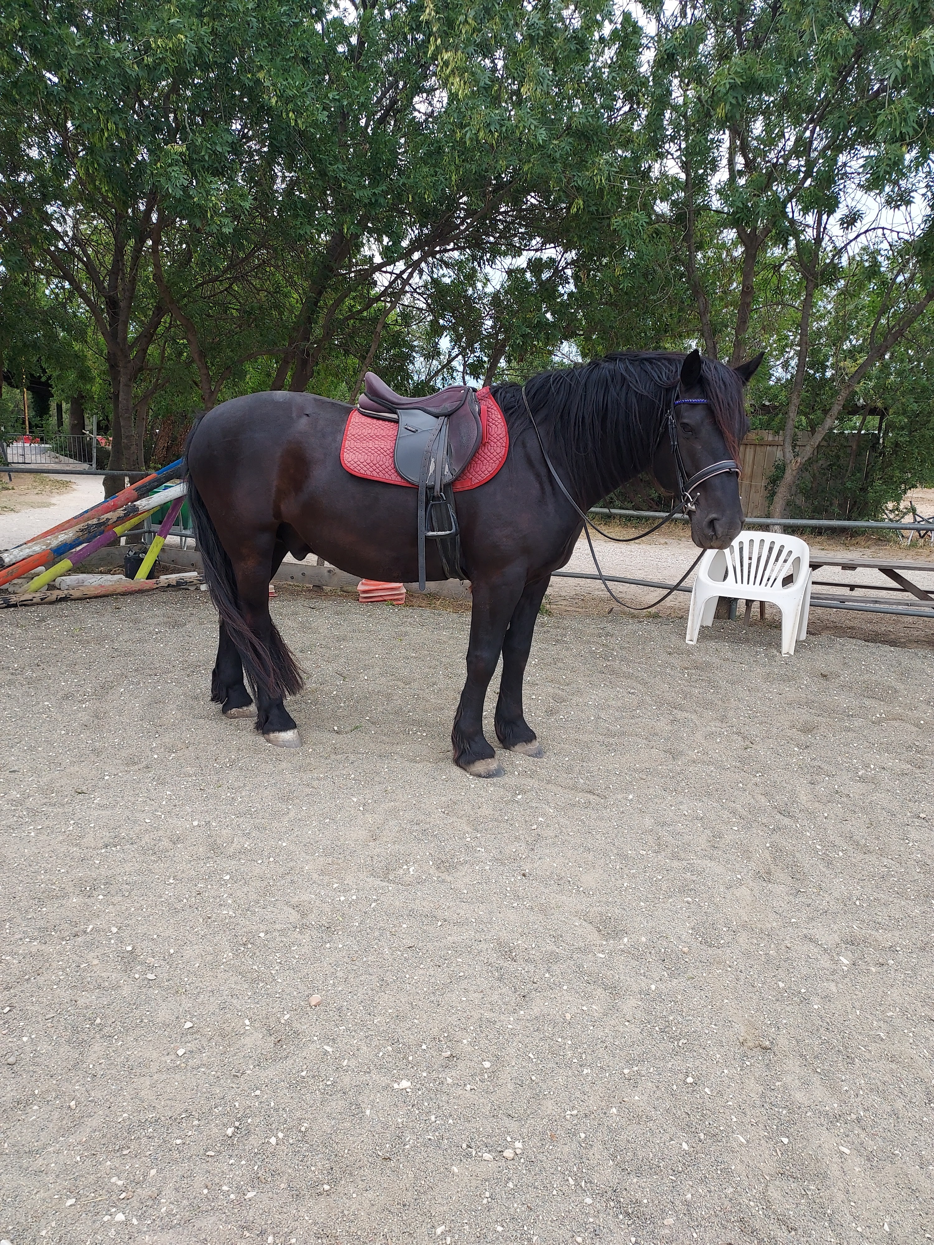 Photo n° 1 de l'avis de Fi. fait le 21/06/2018 à 10:19