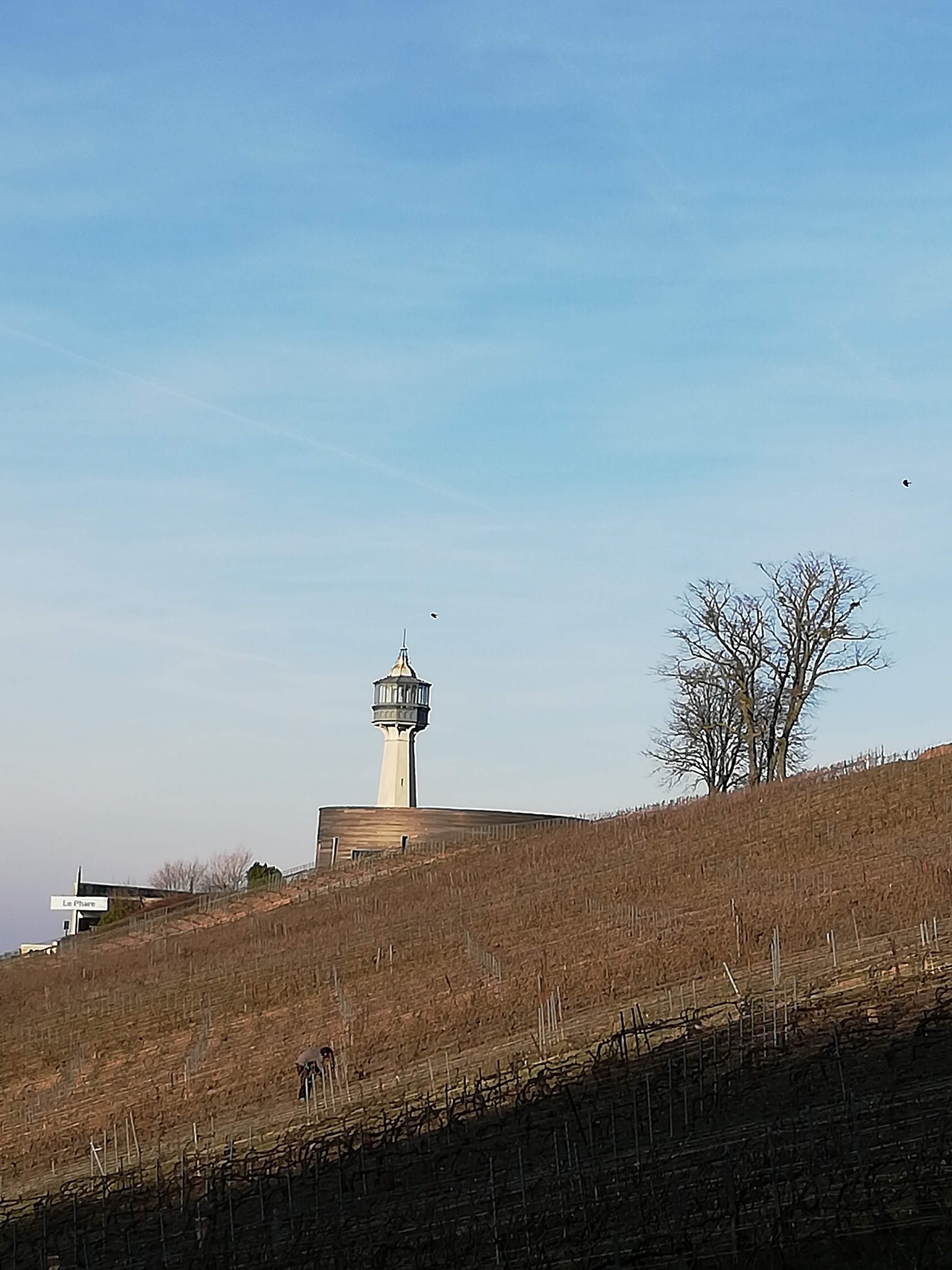 Photo n° 1 de l'avis de fabienne.a fait le 23/02/2019 à 19:17