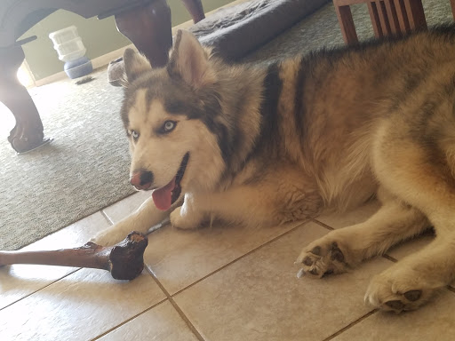 Pet Supply Store «PetSmart», reviews and photos, 1733 S Stapley Dr, Mesa, AZ 85204, USA