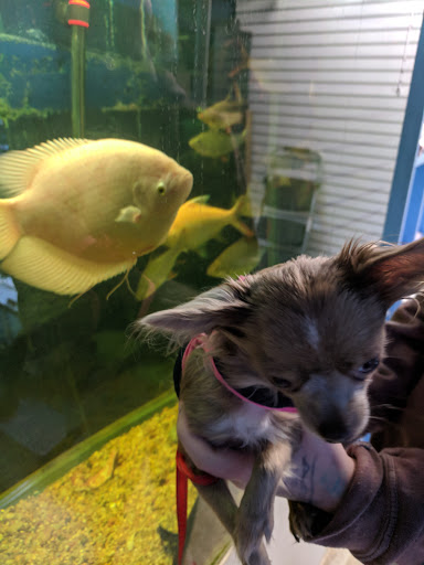 Pet Store «Fins Feathers Paws & Claws», reviews and photos, 436 Main St, Harleysville, PA 19438, USA