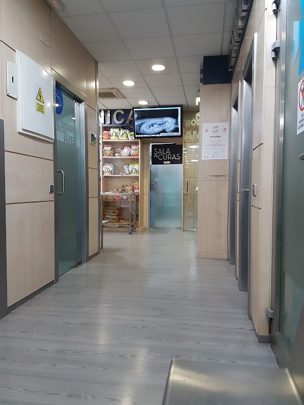 Imagen de Hospital Veterinario El Bosque (19 de 31)