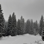 Photo n°2 de l'avis de Stefania.o fait le 10/03/2020 à 08:52 sur le  Hotel Villa Maria à Canazei