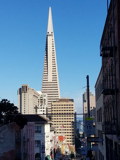 Chinese Historical Society of America Museum, 965 Clay St, San Francisco, CA 94108