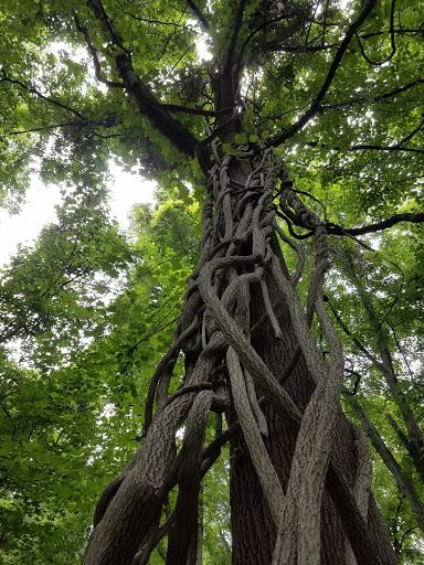 History Museum «Benjamin Banneker Historical», reviews and photos, 300 Oella Ave, Catonsville, MD 21228, USA