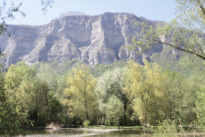 Espace Naturel Sensible du Marais de Montfort à Crolles