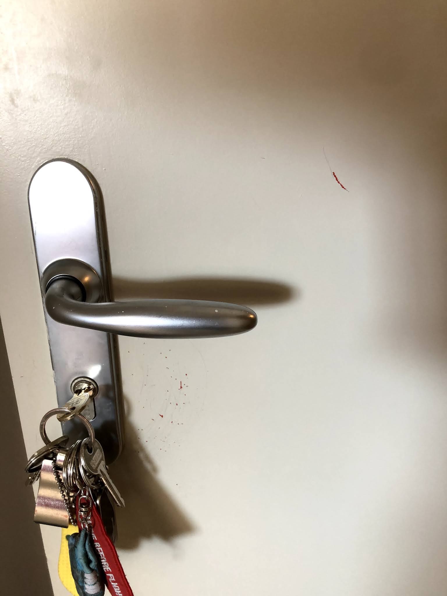 Photo n° 2 de l'avis de Pierre.e fait le 26/04/2021 à 15:06