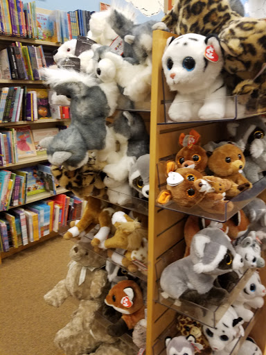 Book Store «Barnes & Noble», reviews and photos, 17111 Haggerty Rd, Northville, MI 48168, USA