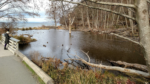 Park «Golden Gardens Park», reviews and photos, 8498 Seaview Pl NW, Seattle, WA 98117, USA
