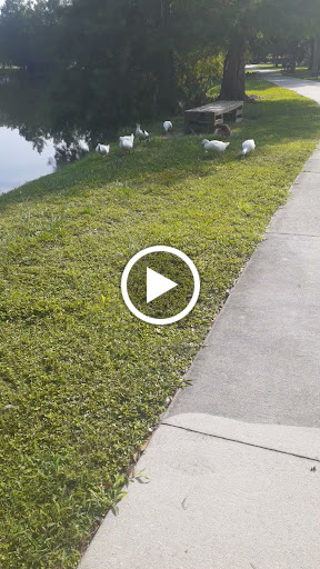 Park «Secret Lake Park», reviews and photos, 200 N Triplet Lake Dr, Casselberry, FL 32707, USA