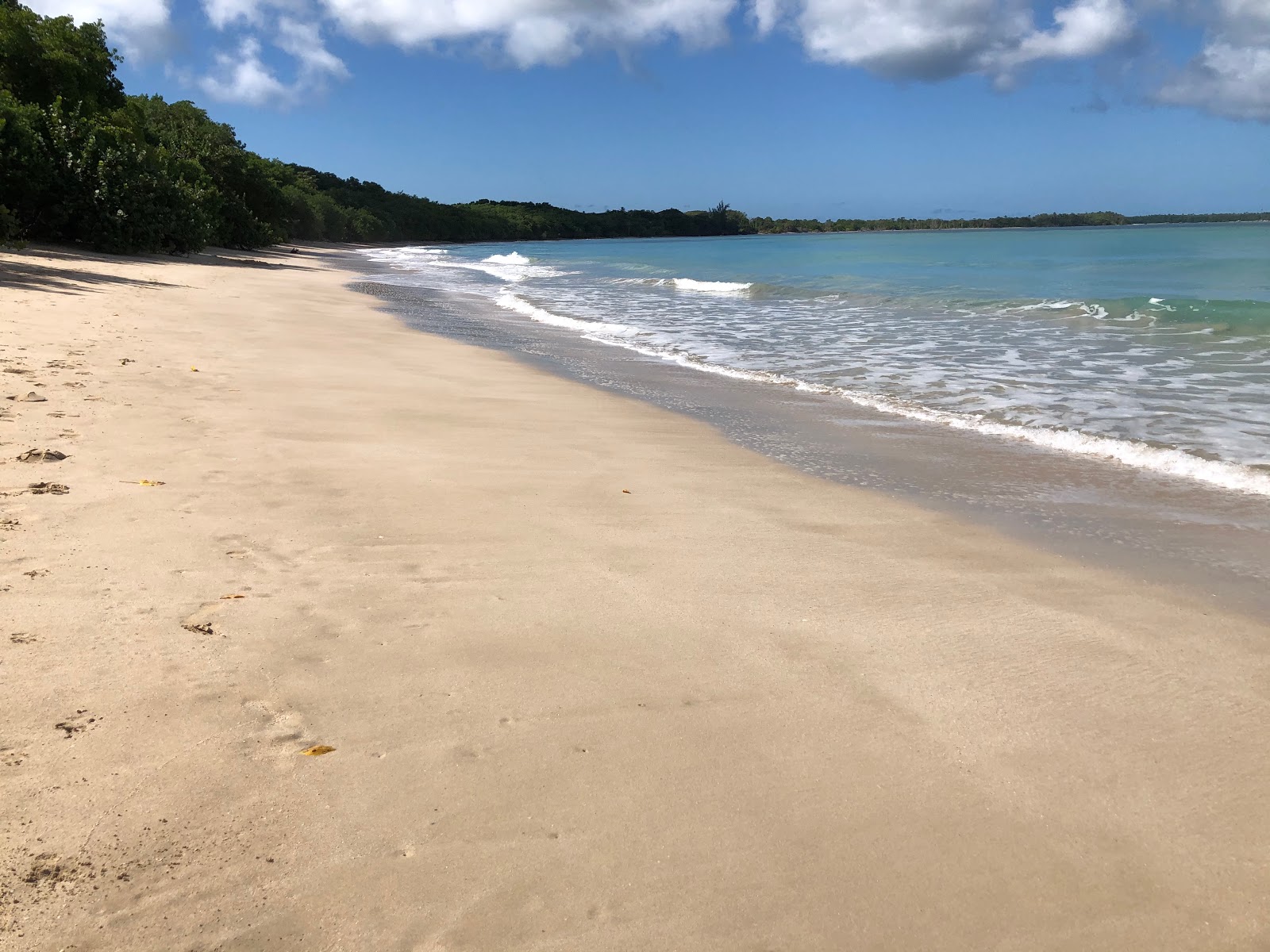 Buccoo beach的照片 带有宽敞的海岸