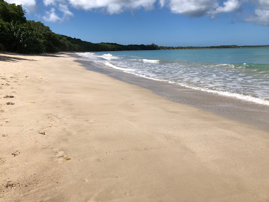 Buccoo beach