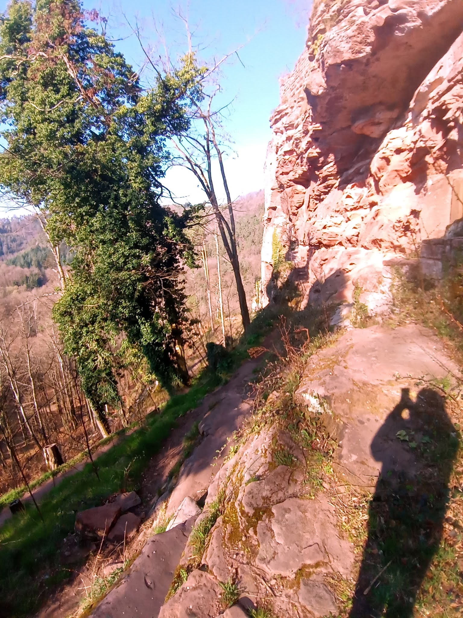 Photo n° 24 de l'avis de Manuela.s fait le 03/04/2021 à 09:38