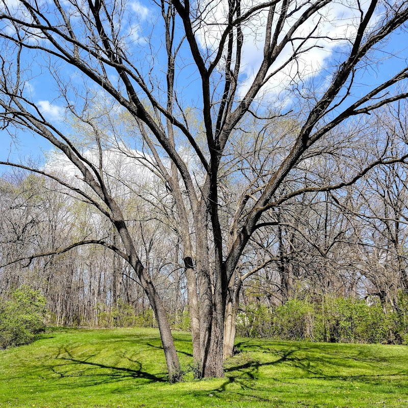 McLamarrah Park