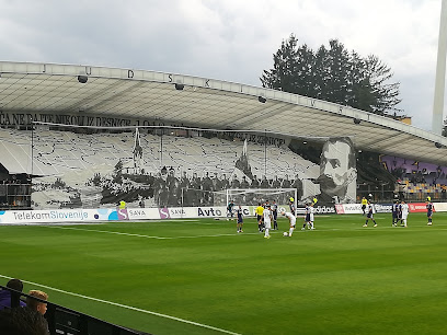 Nogometni klub Maribor Branik