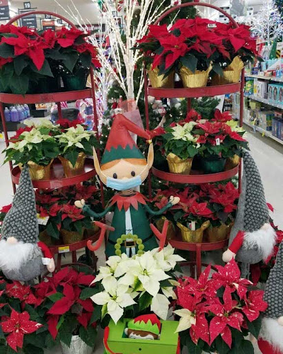 Home Improvement Store «Duvall True Value Hardware», reviews and photos, 15320 Brown Ave NE, Duvall, WA 98019, USA