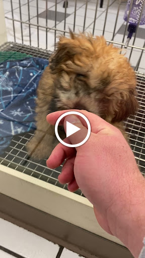 Pet Store «Family Pet Center», reviews and photos, 1401 Greenbrier Pkwy, Chesapeake, VA 23320, USA